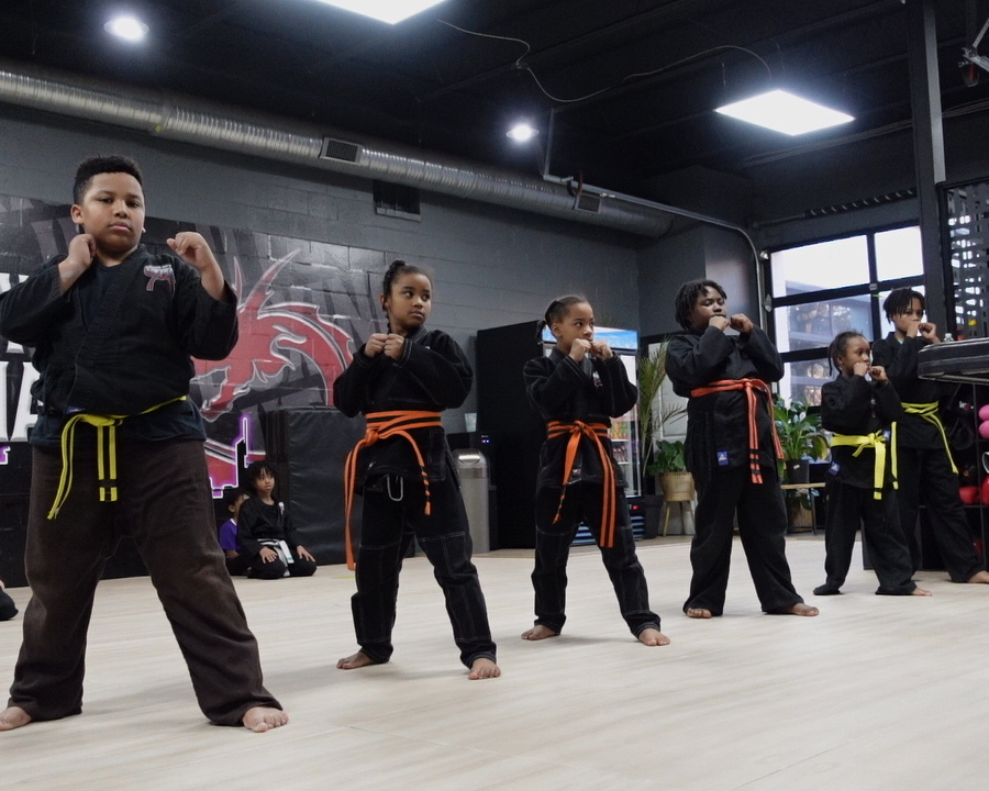 Afterschool Mixed Martial Arts